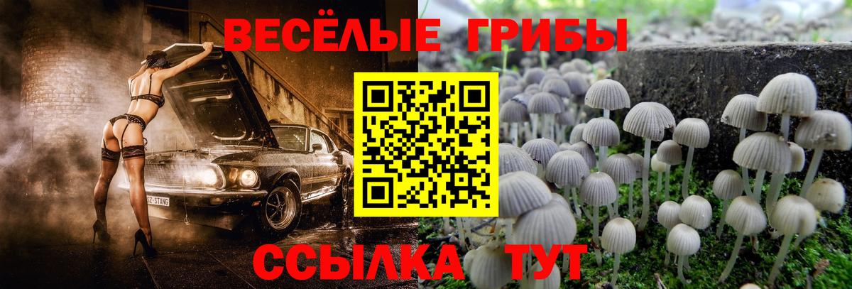 Псилоцибиновые грибы Magic Shrooms  где продают   Сокол  Вход с VPN 